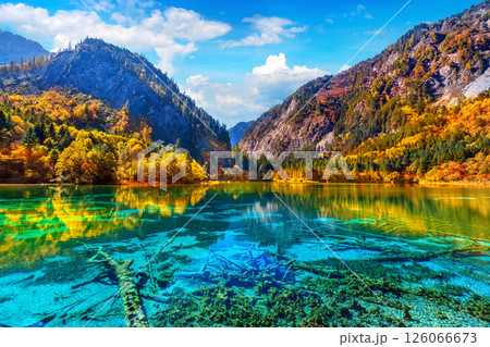 Jiuzhaigou national park in autumn, China. 126066673