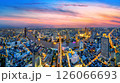Panorama of Bangkok city at twilight, Thailand. 126066693