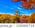 Autumn seasons and castle in Osaka, Japan. 126066718