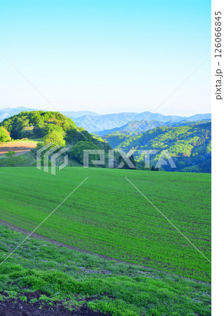 青々とした緑の丘から　清々しい眺め　秩父郡皆野町 126066845
