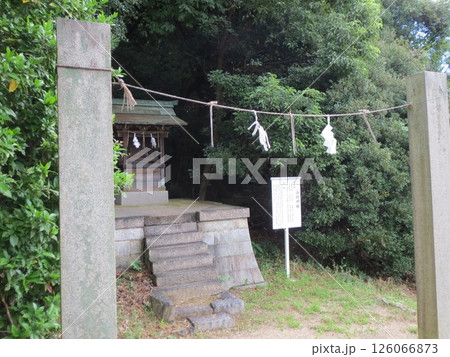 2014年・香川・高松・屋島・風景・神社・屋島神社・其の三十九 2014年・香川・高松・屋島・風景・神社・屋島神社・其の三十九 126066873