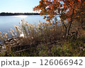 湖畔の紅葉　 126066942