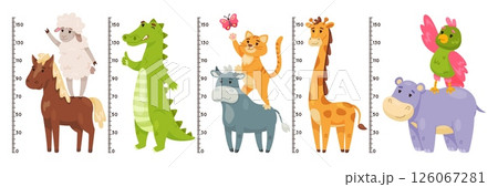 Kids growth rulers. Funny animals pyramids, measuring child height, wall meter cute designs, nursery room elements, crocodile and giraffe cartoon flat style isolated recent vector set 126067281