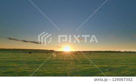Breathtakingly Stunning Sunrise Over a Beautifully Serene Open Field Waiting to be Explored Time lapse. Breathtakingly Stunning Sunrise Over a Beautifully Serene Open Field Waiting to be Explored Time lapse. 126067382