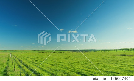 An Expansive Green Pasture Spreads Out Vastly Under a Clear and Beautiful Blue Sky Above Time lapse. 126067404