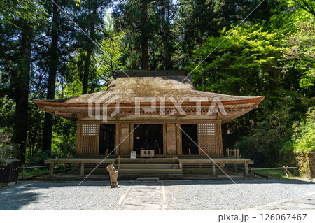 室生寺弥勒堂 室生寺弥勒堂 126067467