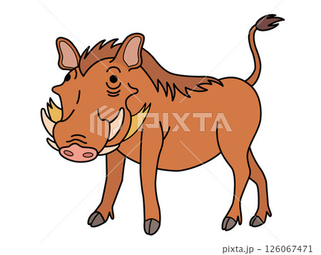 イボイノシシ 126067471