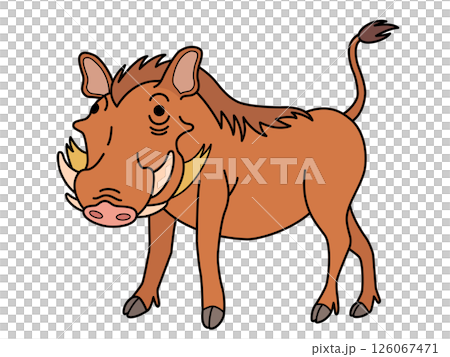 イボイノシシ 126067471