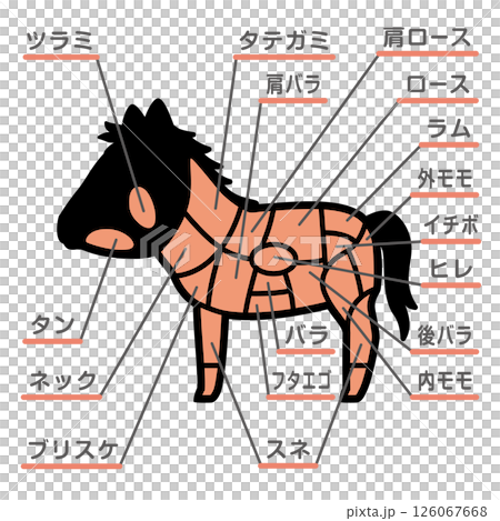 Illustration of horse meat parts with text 126067668