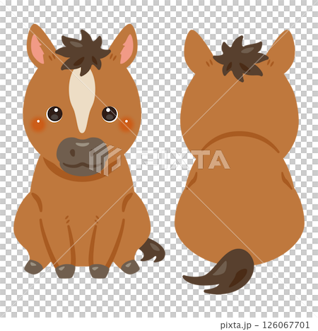 Set of front and back illustrations of a sitting horse 126067701