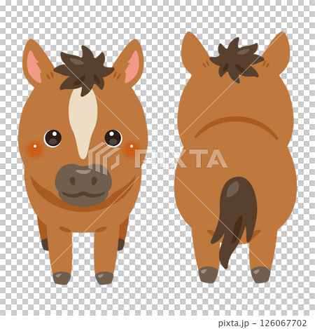 ウマの前後イラストセット ウマの前後イラストセット 126067702