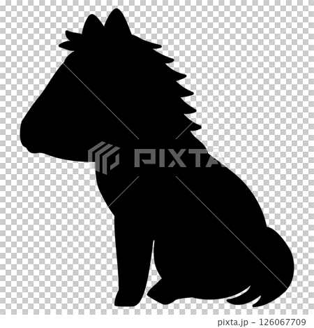 Silhouette of a horse sitting sideways 126067709