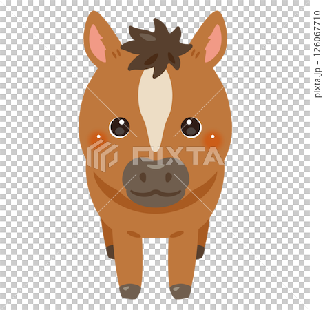 Illustration of a horse seen from the front 126067710
