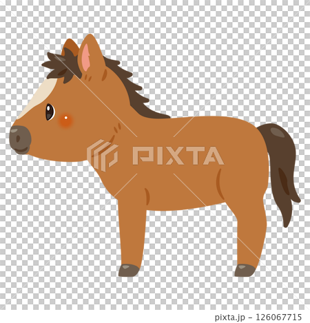 ウマの横向きイラスト 126067715
