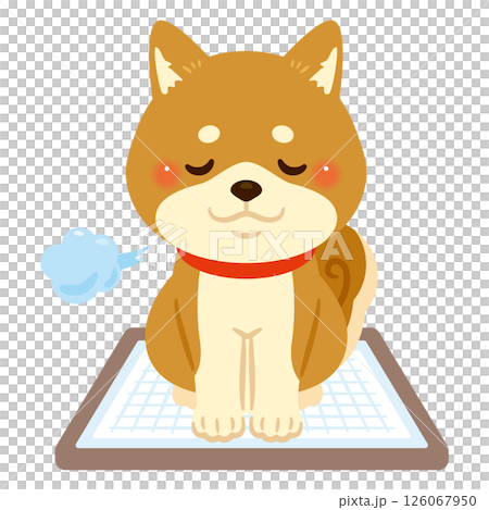 トイレ中の柴犬のイラスト トイレ中の柴犬のイラスト 126067950