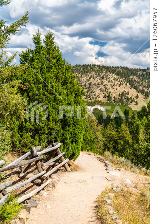 A scenic hiking path winds past a wooden fence and into the forest near Tower Fall in Yellowstone National Park, with rugged hills in the distance under a partly cloudy sky. Wyoming, USA 126067957