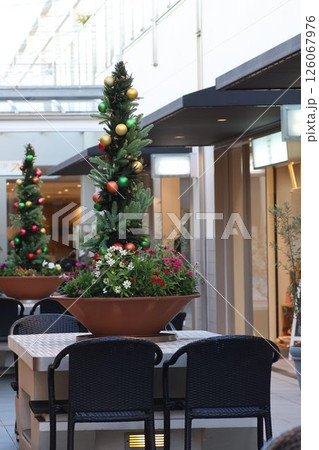 クリスマスツリー クリスマスツリー 126067976