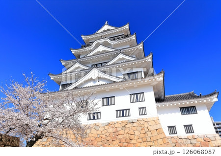 【広島県】桜咲く春の福山城（復興後）福山城桜まつり 126068087