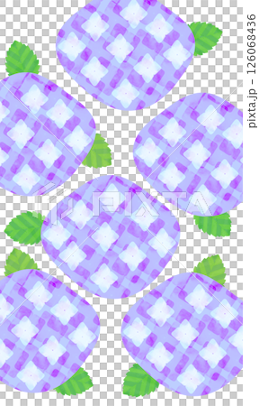 Cute hydrangea illustration Cute hydrangea illustration 126068436