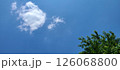 初夏の青空と白い雲、新緑の木 126068800