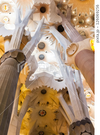 BARCELONA, SPAIN - DECEMBER 21, 2015 - Interior of Sagrada Familia 126069256