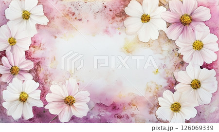 白とピンクのコスモスの水彩画、フレーム 126069339