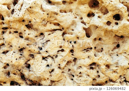 Pale rock with porous texture, top view Pale rock with porous texture, top view 126069482