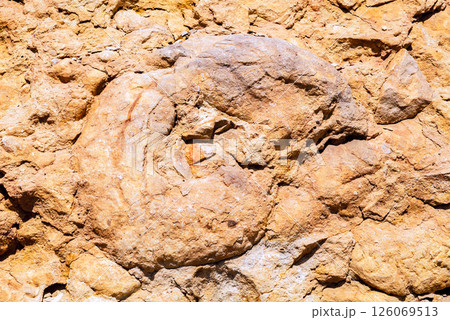 the Ammonite Wall in Ramon Crater Negev desert 126069513