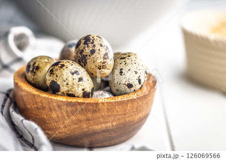 Spotted quail eggs in bowl on kitchen table. Spotted quail eggs in bowl on kitchen table. 126069566