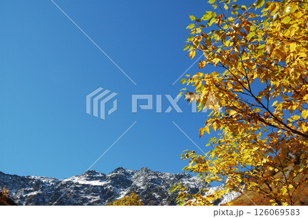 Autumn leaves @Kamikochi 錦秋の上高地，涸沢コースを彩る紅葉の木々(見ごろ) 126069583