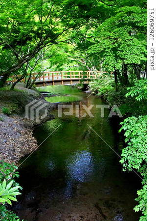 湯布院　新緑 126069751