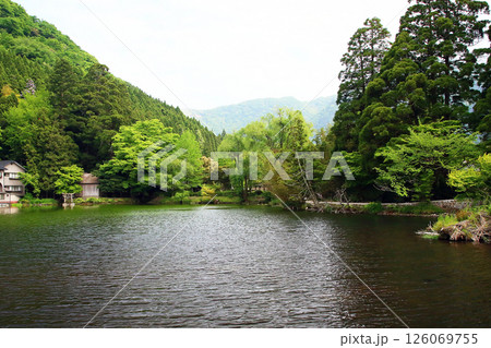 湯布院　新緑 126069755