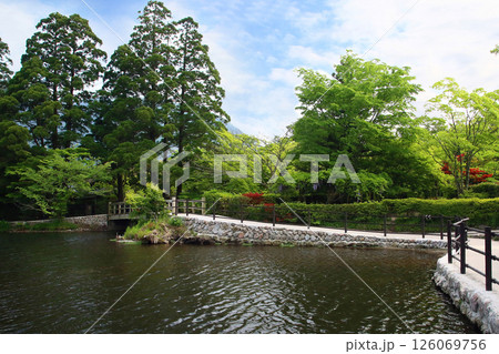 湯布院　新緑 126069756