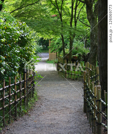 湯布院 新緑 湯布院 新緑 126069773