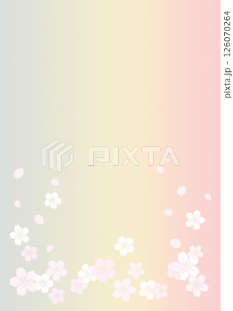 和柄の背景 126070264