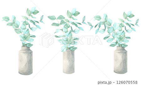 A botanical watercolor composition set of eucalyptus stems in a textured cement vases. These elegant bouquets clipart is great for packaging design, website headers, printable greeting cards 126070558