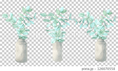 A botanical watercolor composition set of eucalyptus stems in a textured cement vases. These elegant bouquets clipart is great for packaging design, website headers, printable greeting cards 126070558