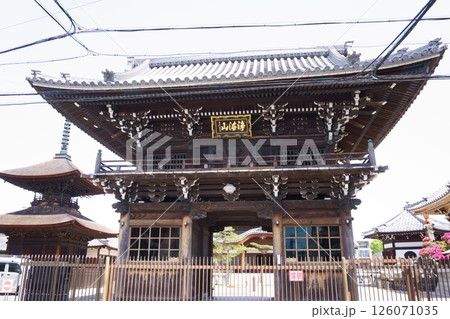 荒子観音　山門　尾張四観音 126071035