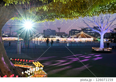 東京メガイルミ2024-2025にて「オーロラの森」を観賞する人 126071159