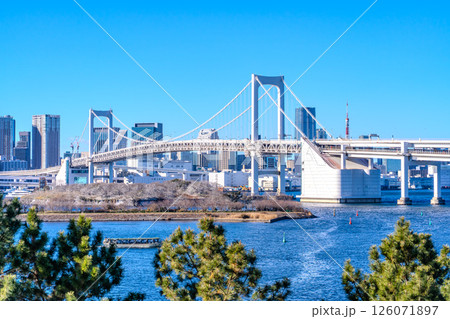 東京・お台場から望むレインボーブリッジと高層ビル群 126071897