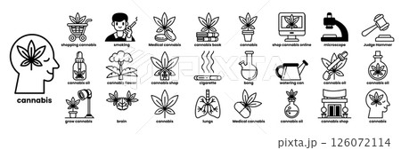 A series of images of plants in line drawing style A series of images of plants in line drawing style 126072114