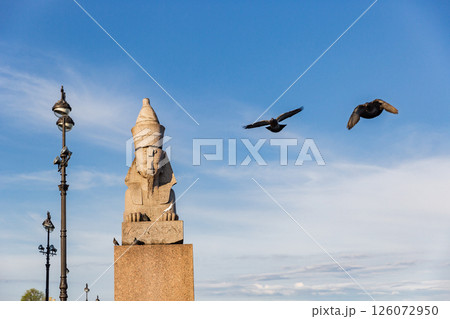 Sphinxes on the University Emb are sculptures of zoomorphic mythical creatures 126072950