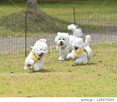 モフ会にて モフ会にて 126073004