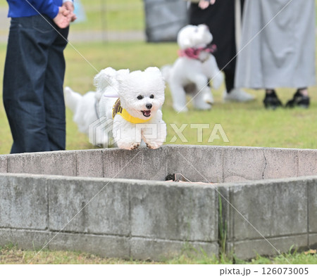 モフ会にて モフ会にて 126073005