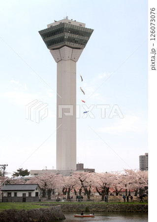 桜満開の五稜郭公園　桜名所　お花見　函館 126073076