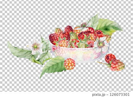 Raspberry berries leaves flowers served in glass bowl, ripe picked garden dewberry cloudberry mulberry boysenberry harvest. Isolated illustration hand drawn in watercolor. Farmers market preserves 126073301