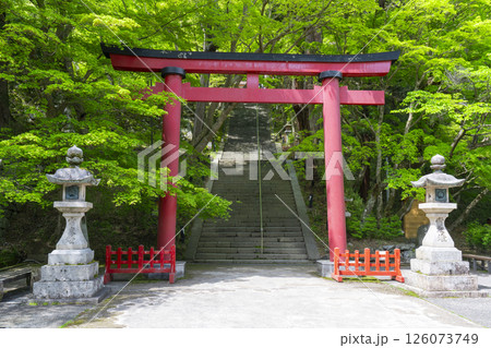 談山神社 新緑に包まれた鳥居と石段 談山神社 新緑に包まれた鳥居と石段 126073749