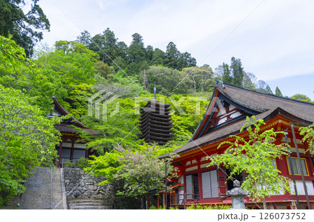 談山神社 権殿・十三重塔・神廟拝所 談山神社 権殿・十三重塔・神廟拝所 126073752