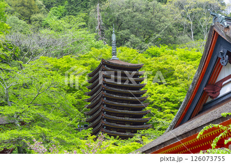 談山神社　十三重塔・神廟拝所 126073755