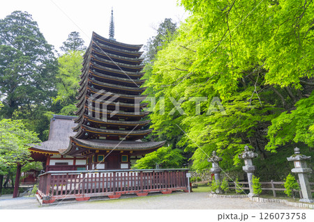 談山神社　新緑に包まれた十三重塔（神廟） 126073758